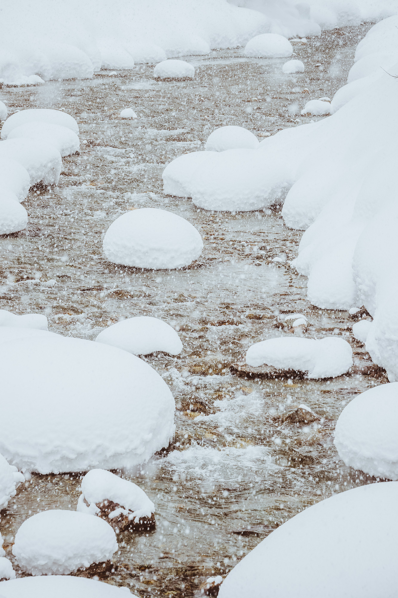 Export x3 1DX29396 Verlobungsfotoshooting 2018 Anna & Dominik